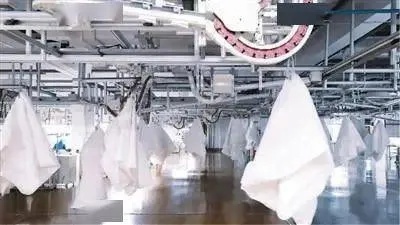 樂爾馨家紡工廠在哪里？揭秘其背后的故事與文化